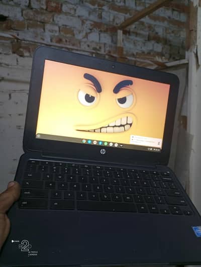 Hp chromebook