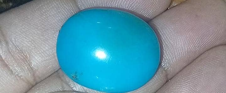 irani nishapuri feroza