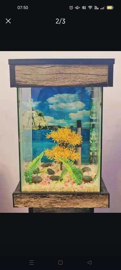 Aquarium
