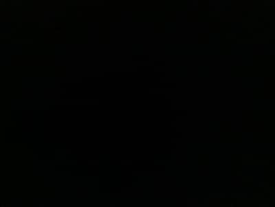 I need staff female and male