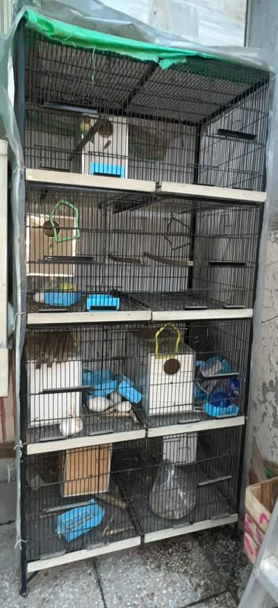 Parrot Cage