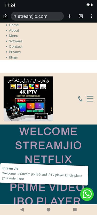 online services earn  0314/2399/740