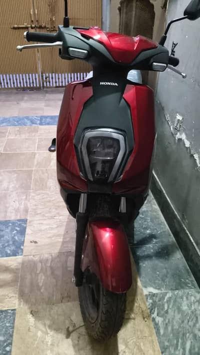 Honda Scoty Brand new