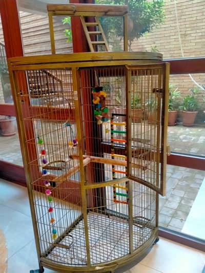 5 feet high metal cage