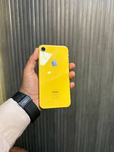 iPhone XR 64GB | 80% BH | 10/10 Condition | PTA APPROVED