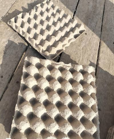 Unity Eggs tary Available