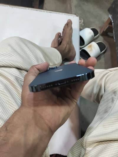 12 pro max Whtsp nbr 03174591428