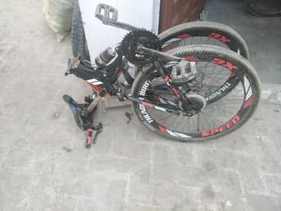 thunder Bird folding cycle