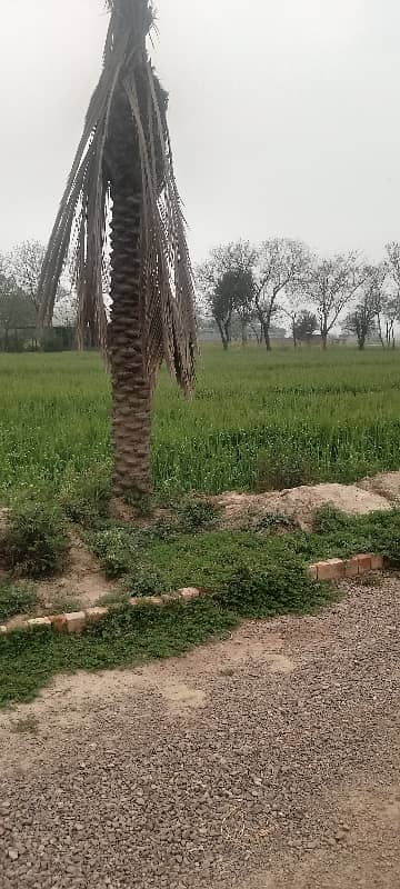 Farm House Plot 8 Kanal Possession For Sale