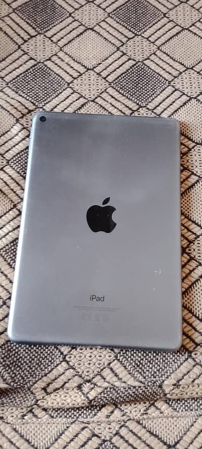 iPad mini 5