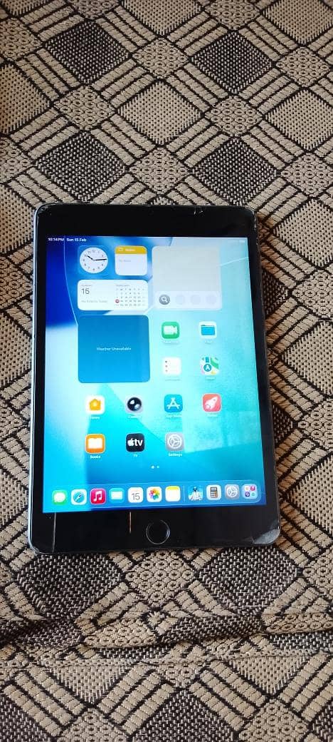 iPad mini 5 1