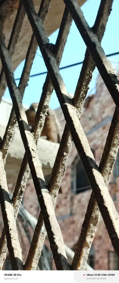 need hob age 17 year old sell man ki job ho