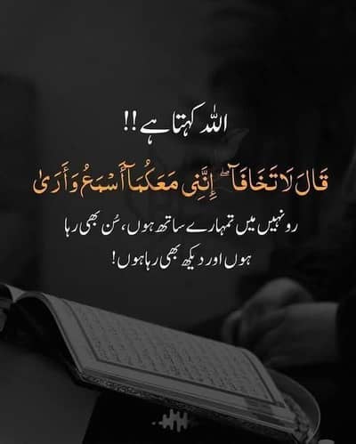 job for females assistant