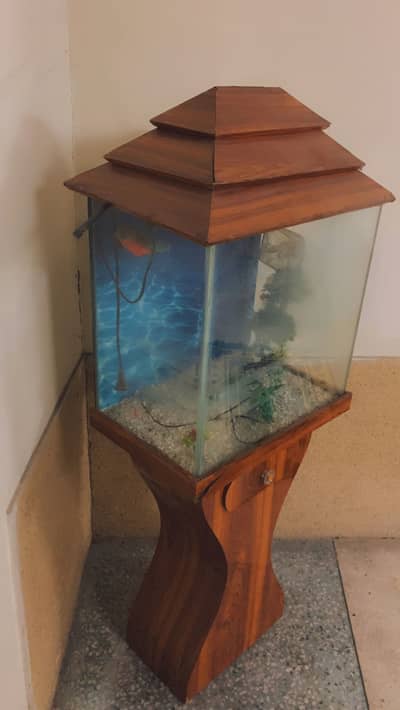 Used Fish Aquarium with wooden Stand in Good Condition
