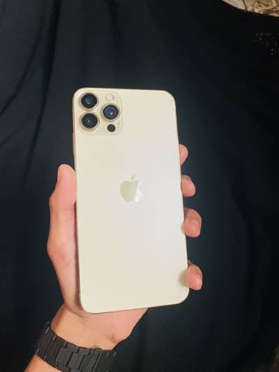 Xs max Convert to 12 pro max