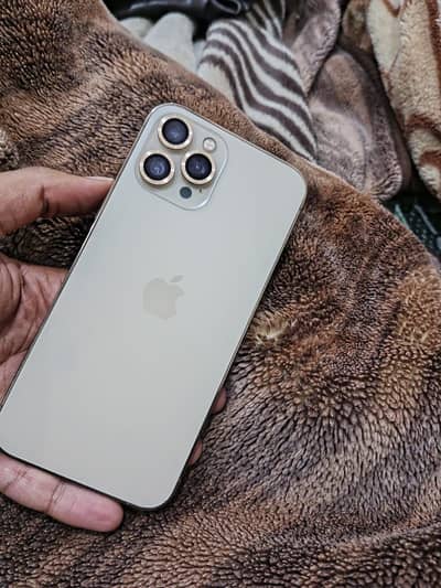 iPhone 12 Pro Max Dual PTA 256