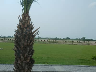 7 Marla Plot For Sale