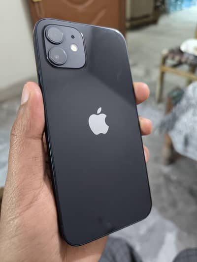 iPhone 12 256GB PTA Approved