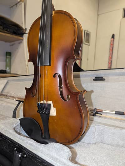 Quality violins collection at Guitar Galaxy