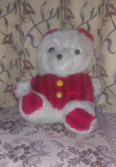 Teedy bear for gift