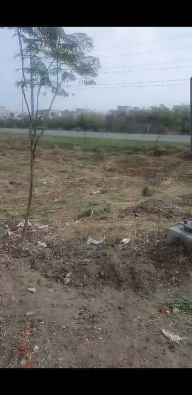 2 Kanal Plot For Sale Most Prime Location Pair Great Location To Build