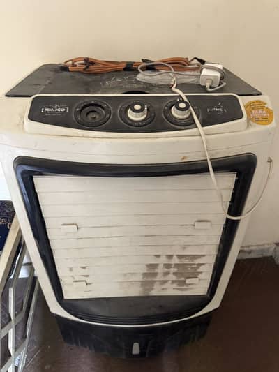 best Collar for sale