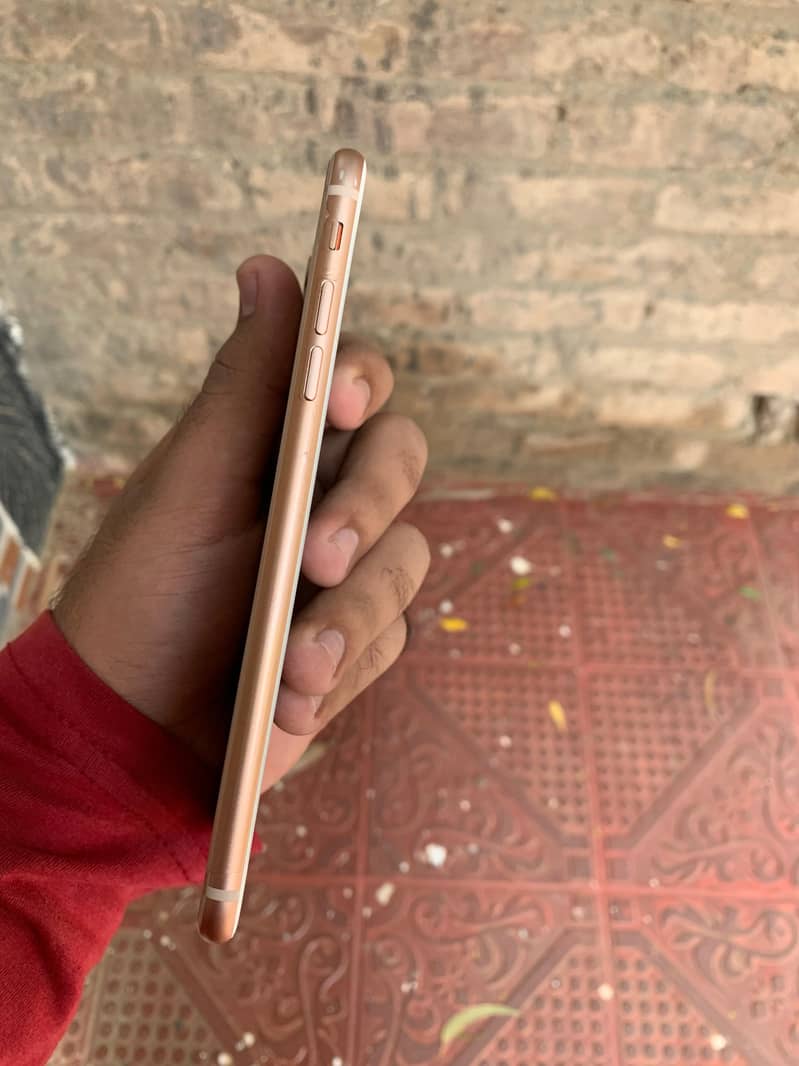 IPhone 8 Plus 1