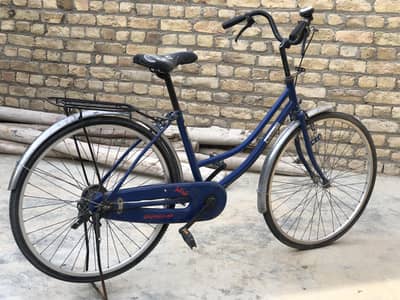 Bicycle Baji cycle | Original  color |