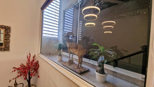 Ultra Modern 1 Kanal Fully Furnished House Available For Rent In DHA Phase 6 At A Prime Location DHA Phase 6, DHA Defence, Lahore, Punjab