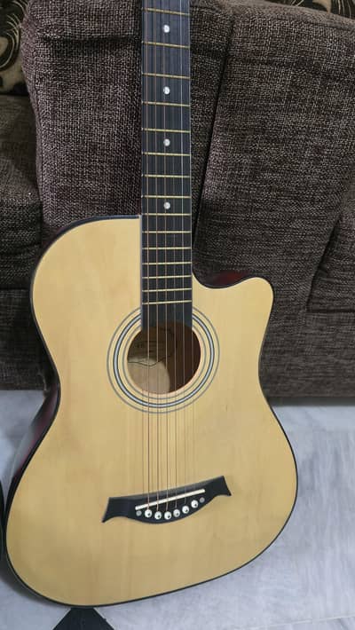 Guitar with cover and accessories