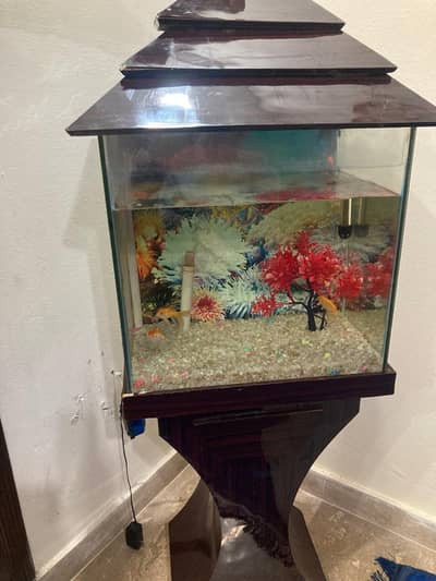 Aquarium along with Fishes for Sale