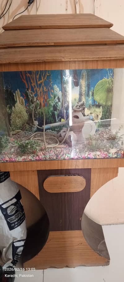 aquarium for sale