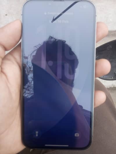 iPhone 13 pro max pro res  LLA model jv