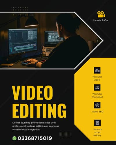 PROFESSIONAL YOUTUBE VIDEO EDITOR