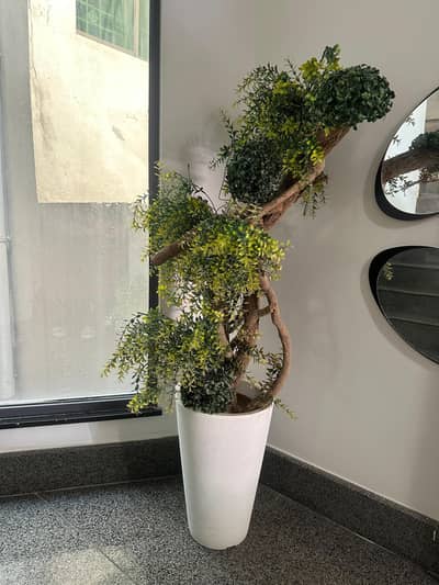 Decorative Artificial Indoor Plant with Pot – Like New