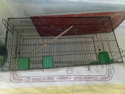 birds cage