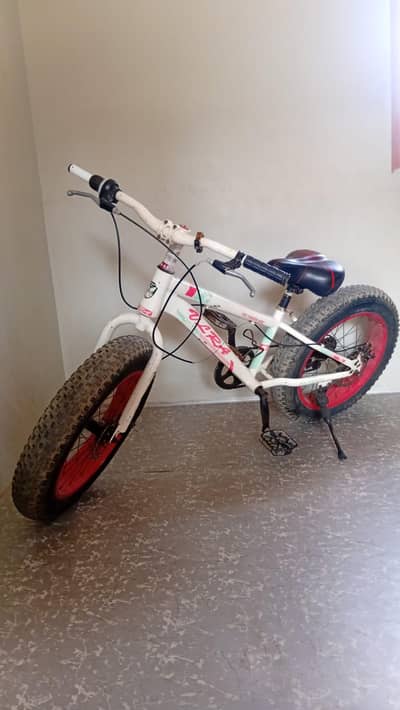 KIDS CYECLR/ BICYCLE/ SPORT CYCLE/FAT TYRE MOUNTAIN BIKE