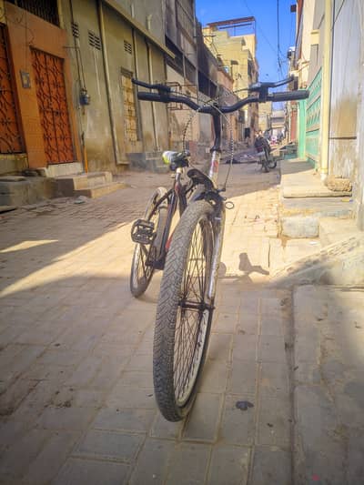 Dragon USA Super Sport Bicycle