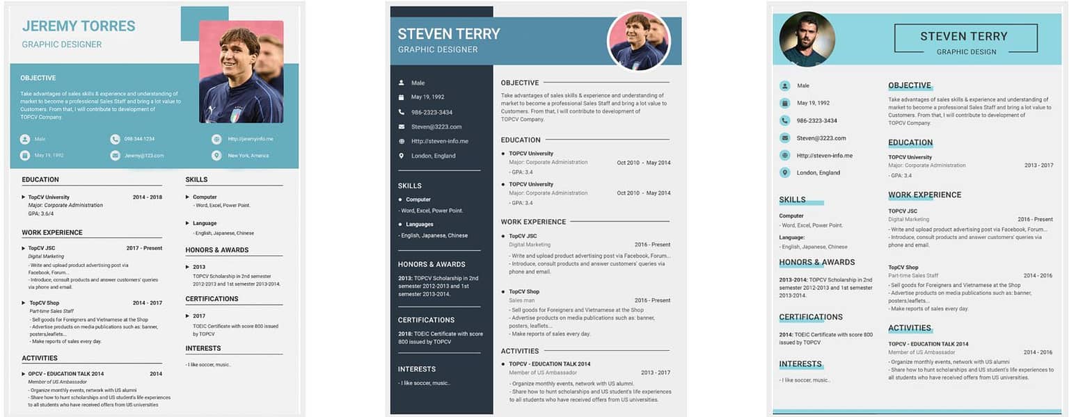 Professional cv maker 1