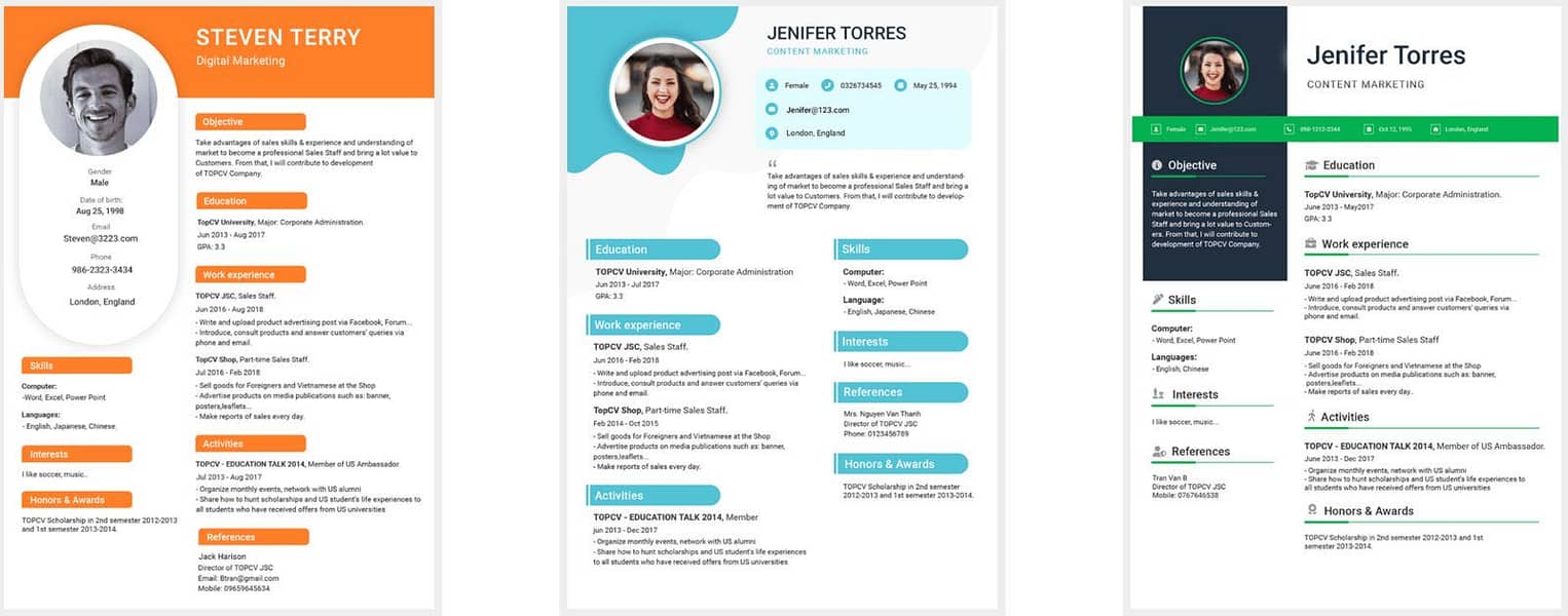 Professional cv maker 2