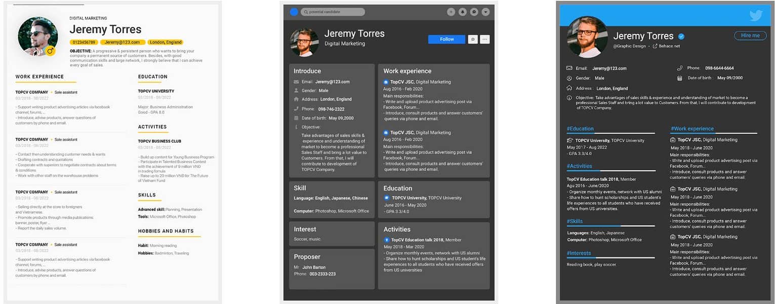 Professional cv maker 3