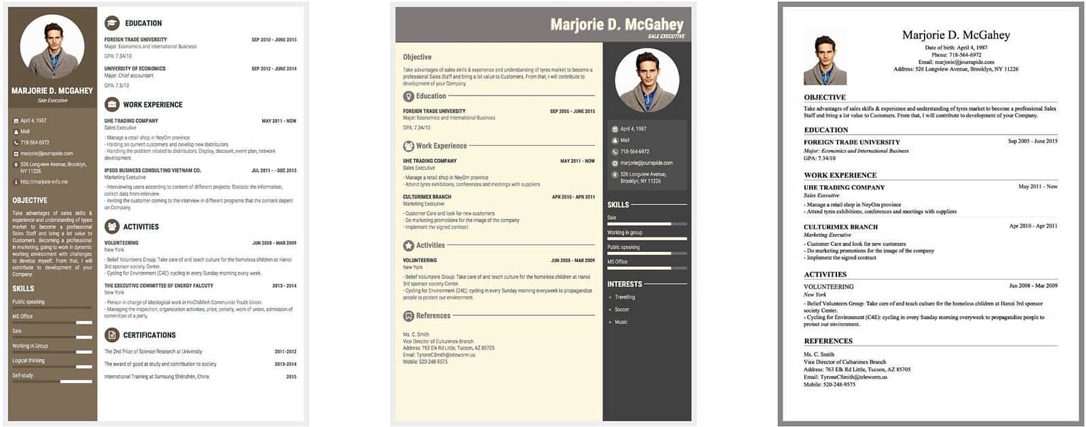 Professional cv maker 4