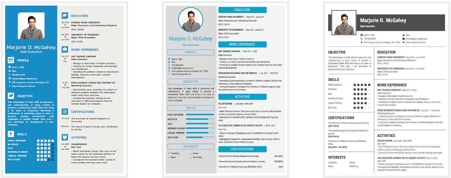 Professional cv maker 5