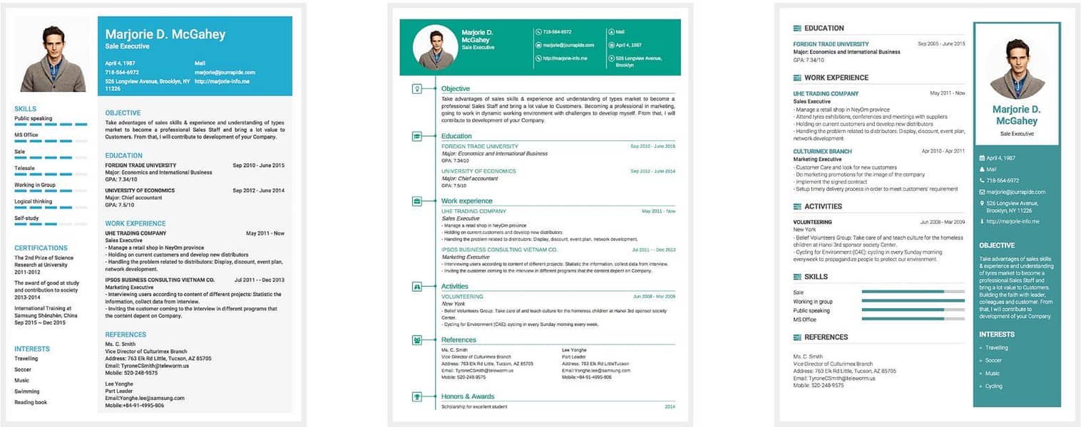 Professional cv maker 6