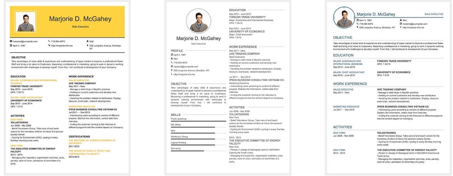 Professional cv maker 8
