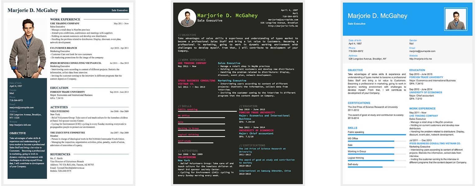 Professional cv maker 9
