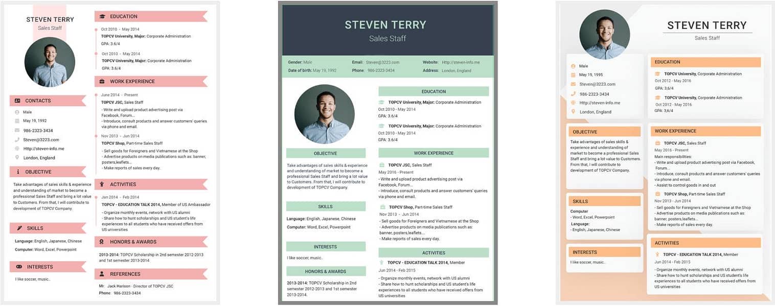 Professional cv maker 11