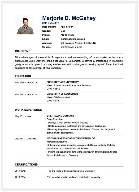Professional cv maker 12