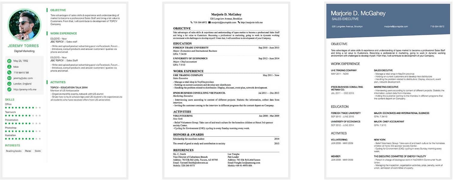 Professional cv maker 13