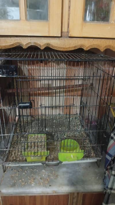 parrot cage